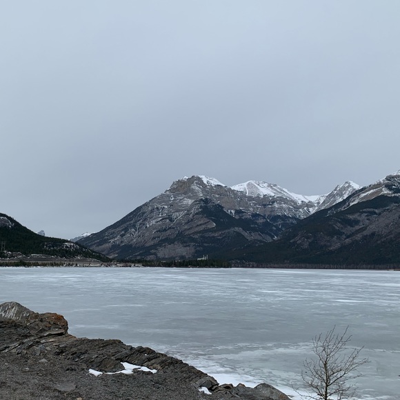 Meet your Posher, Marty - Picture 1 of 1